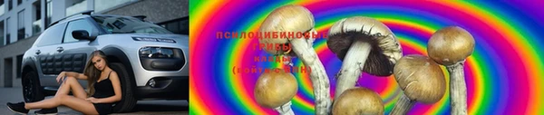 стафф Армянск