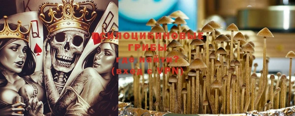 винт Аркадак