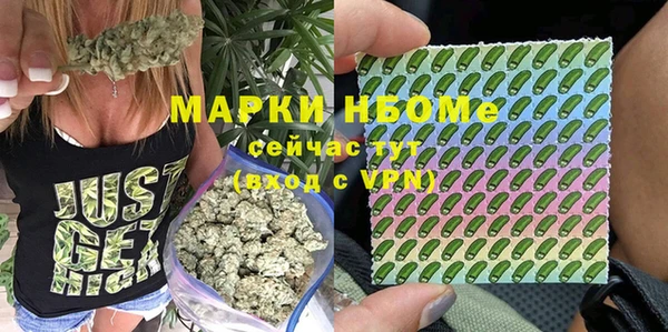 стафф Армянск